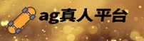 使用指南与常见问题